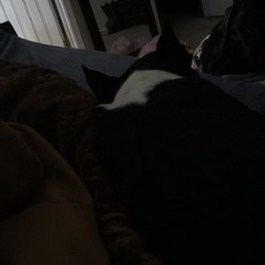 Meet your Posher, Ann